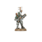 Solar Auxilia: Veletaris Storm Section