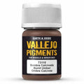 Vallejo Pigments - Burnt Umber