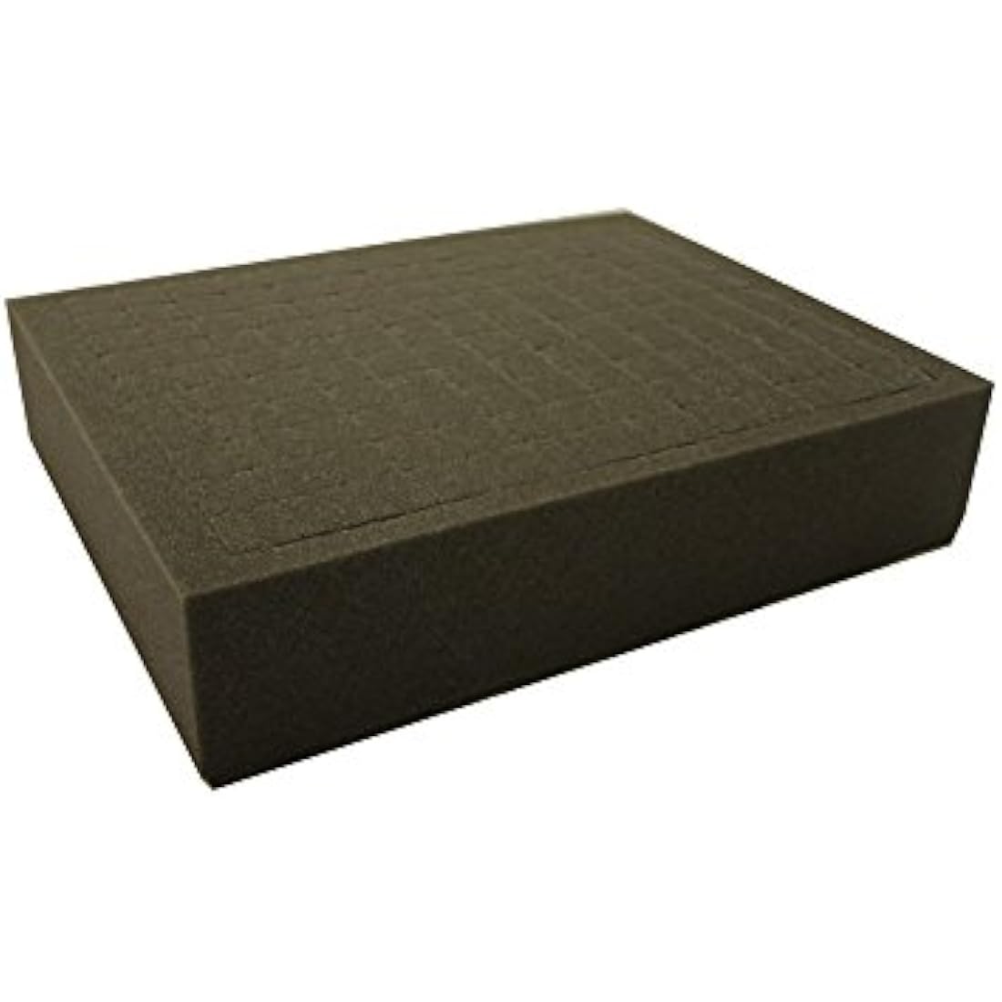 Tabletop Tyrant The Defender Figure and Storage Case inc Foam Holds 180 Models (Pick and Pluck)