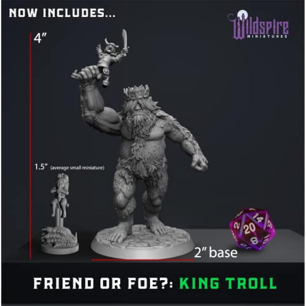 Wildspire Heroes, Animal Companions & Troll King for DND Miniatures Bulk 28mm DND Minis Dungeons and Dragons D&D Miniatures Dungeons and Dragons Unpainted Figures for Tabletop