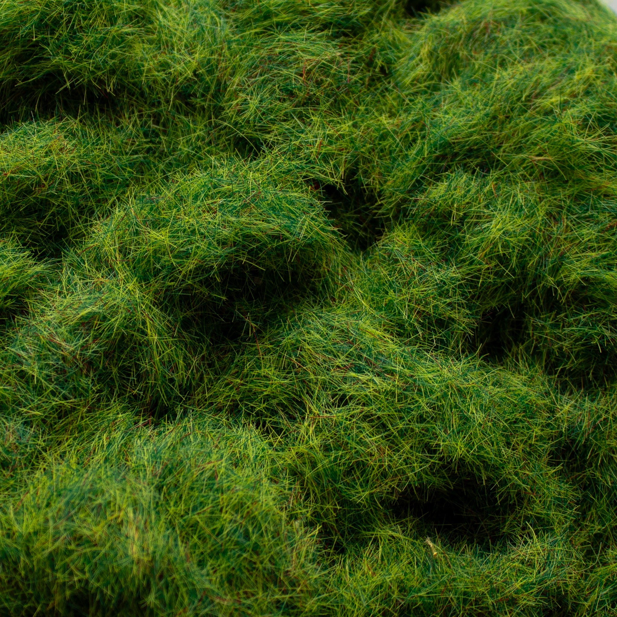 Static Grass - Spring