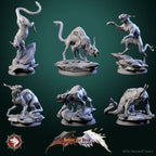 Dungeons and Dragons Models - Better the Devil you know - Set by White Werewolf Tavern