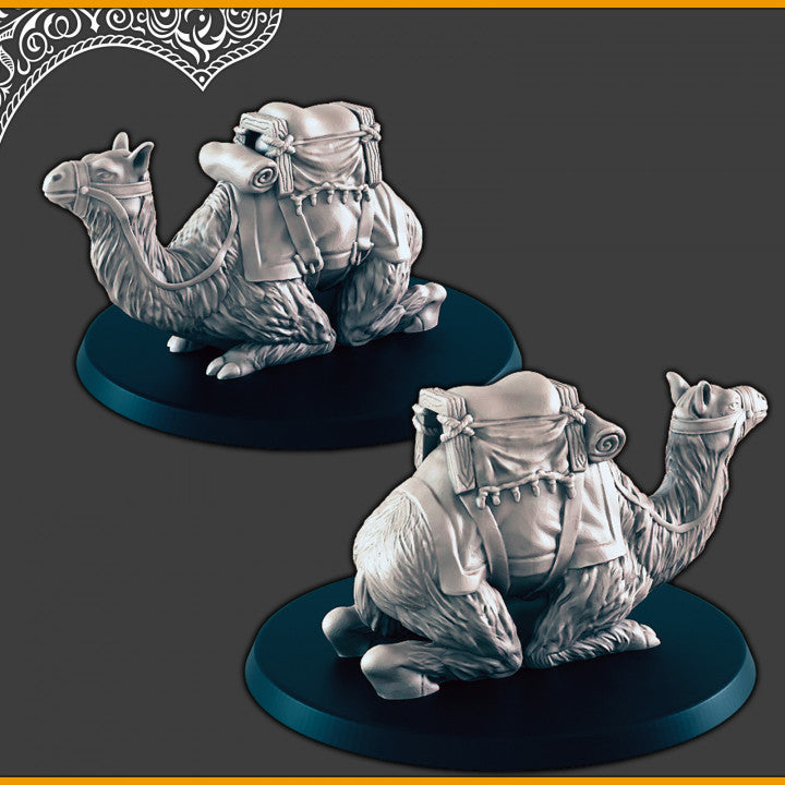 Seated Saddled Camel