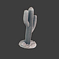Desert Cactus 1