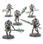 Necrons: Triarch Praetorians / Lychguard