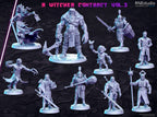 A Witcher Contract Vol 3 Miniatures (Full Set) | Fantasy Miniature | RN Estudio