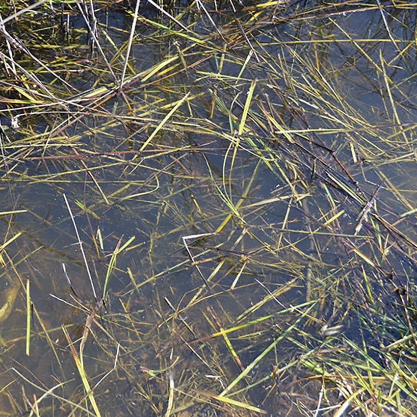 AK Interactive Still Water 250ml AK8008