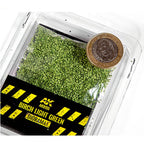 AK Interactive Birch Light Green Leaves AK8155