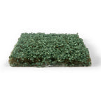 AK Interactive Ivy Foliage AK8234