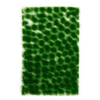 AK Interactive Dark Green Tufts 4mm AK8245