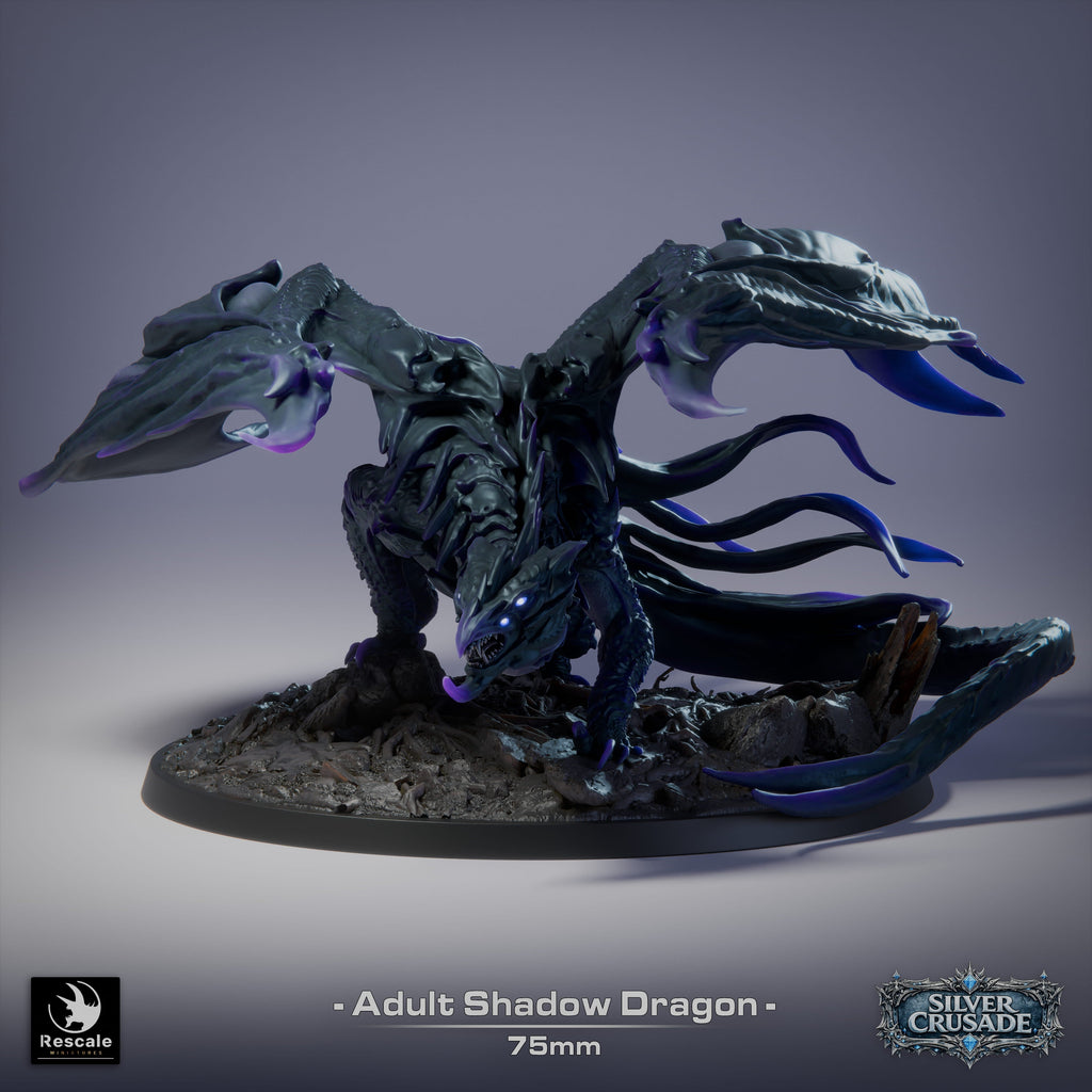🌑 Shadow Dragon (Adult) | 12K Resin 75mm Umbral Terror for D&D & RPGs 🐲