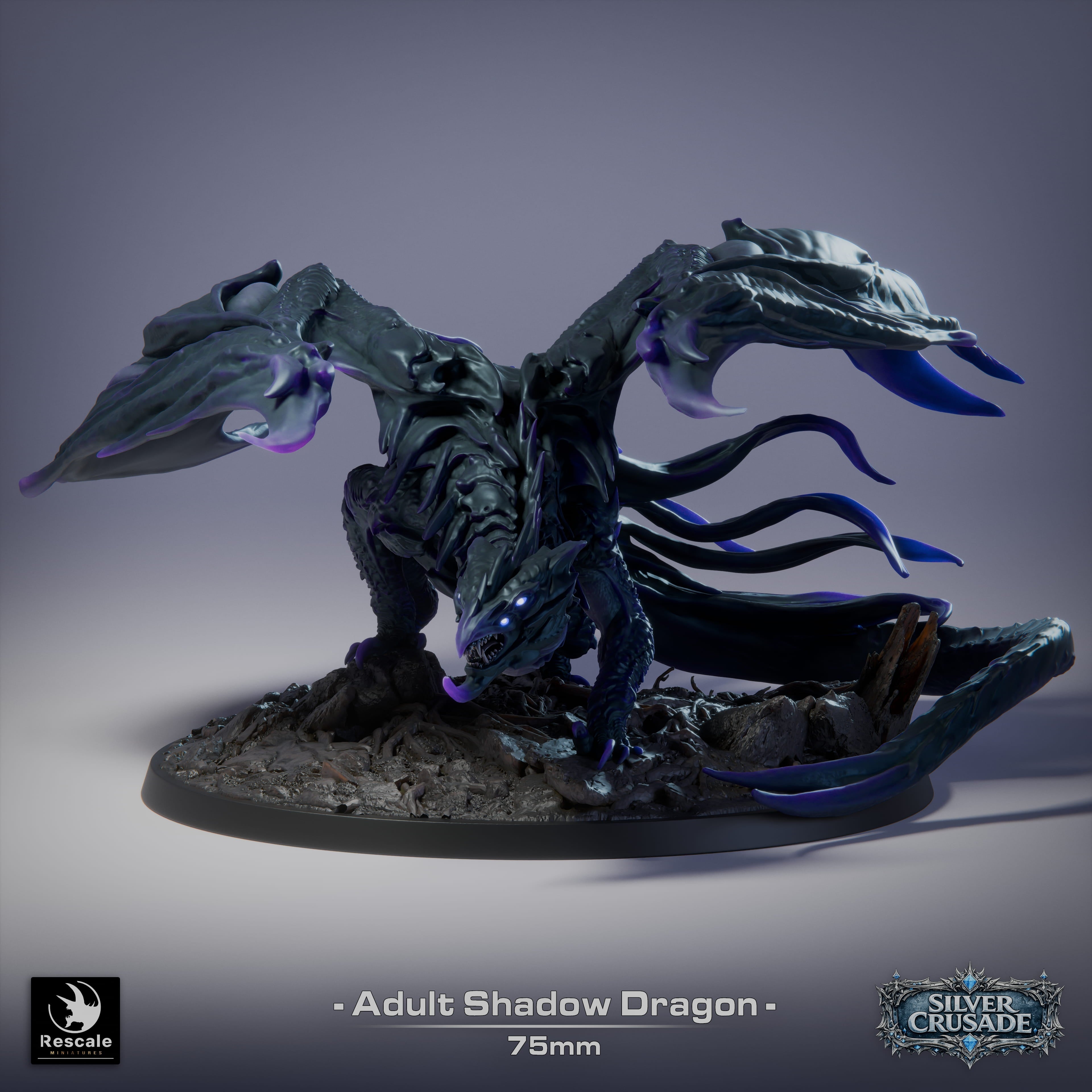 🌑 Shadow Dragon (Adult) | 12K Resin 75mm Umbral Terror for D&D & RPGs 🐲