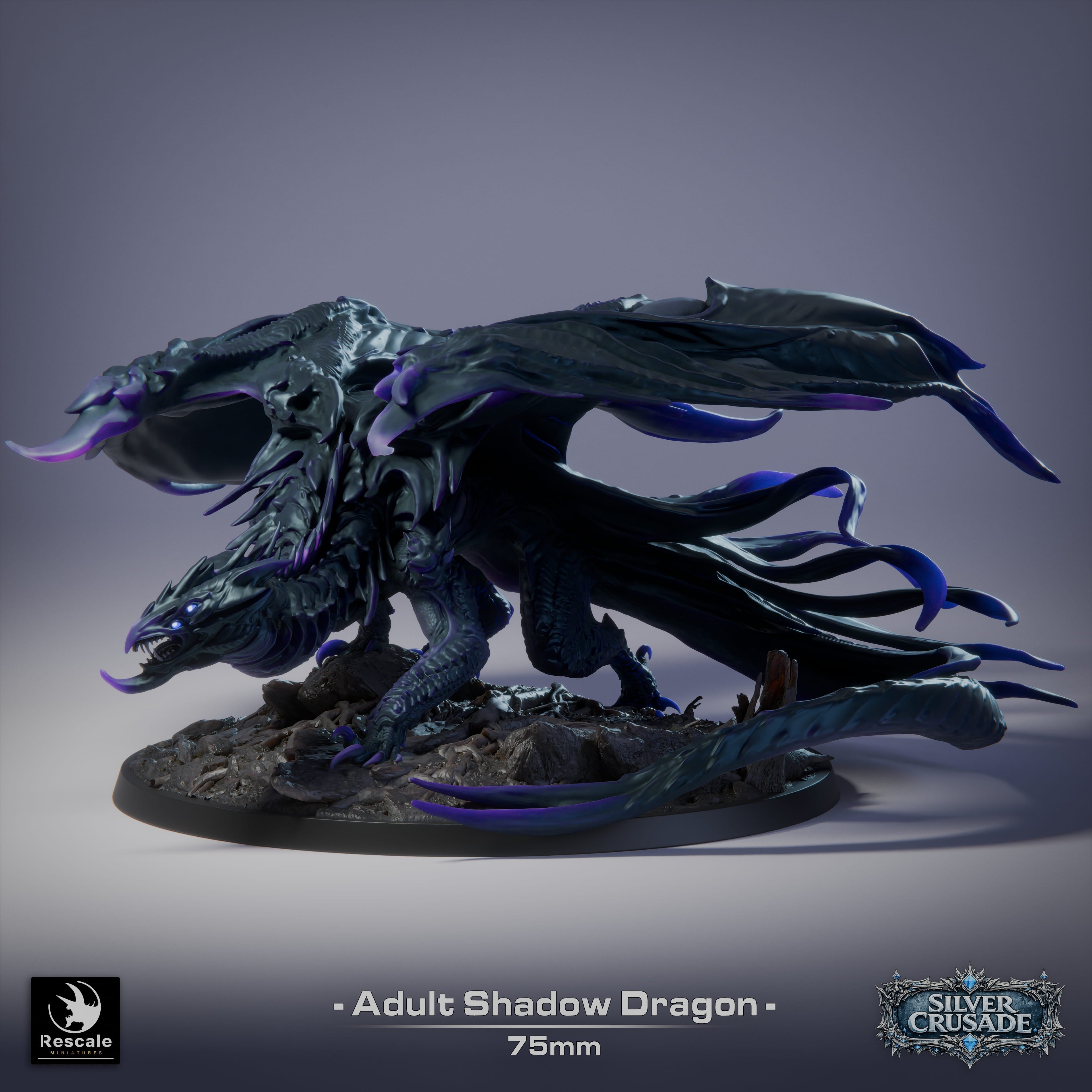 🌑 Shadow Dragon (Adult) | 12K Resin 75mm Umbral Terror for D&D & RPGs 🐲