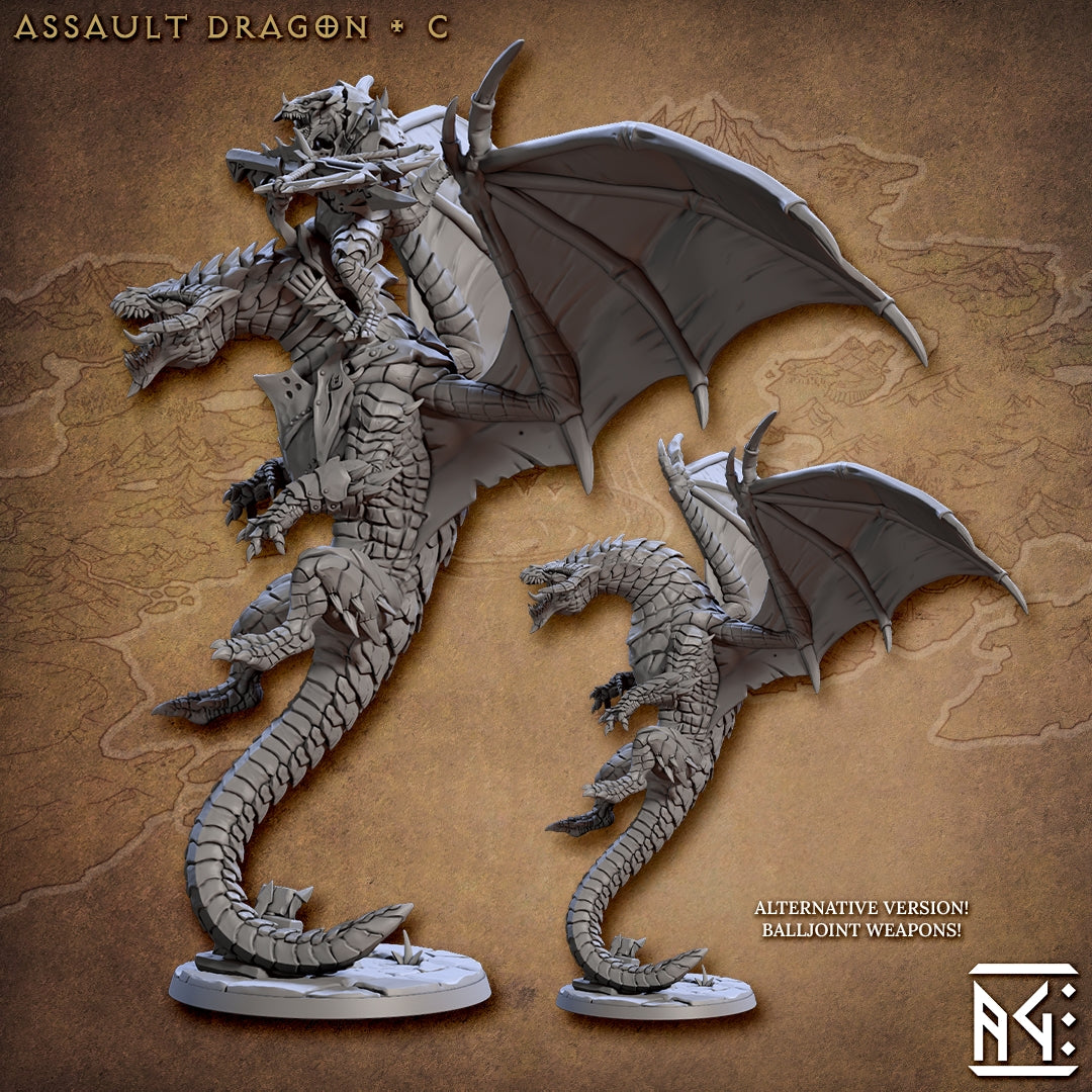 Draconian Scourge Miniatures (Full Set) | Fantasy D&D Miniature | Artisan Guild