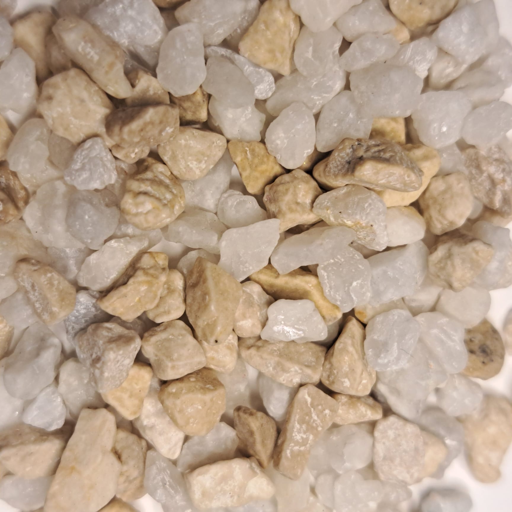 Rock Pot: Barney Rubble!