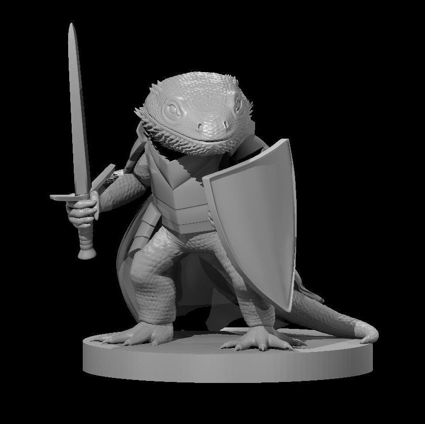 Bearded Dragonborn Fighter 28mm Scale Miniature