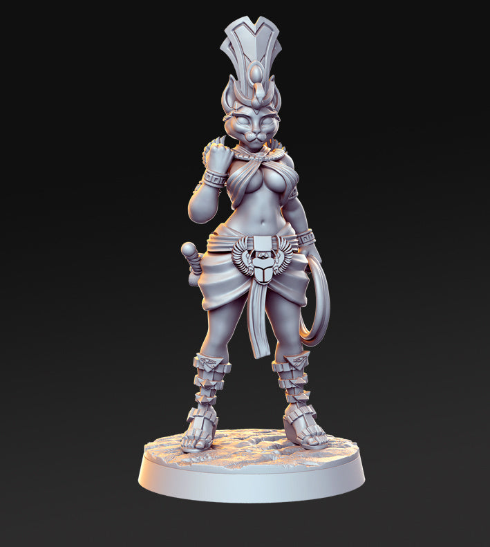 Tabaxi Rogue Cathramun | The Sands of Time | Fantasy Miniature | RN Estudio