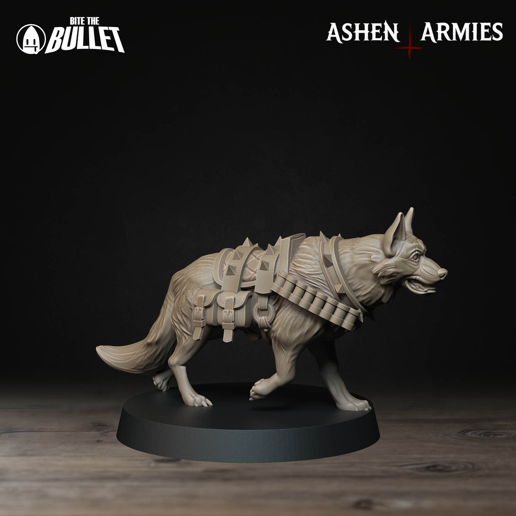 Combat Dog Miniatures | Sanctified Legion | Trench Grimdark | BTB