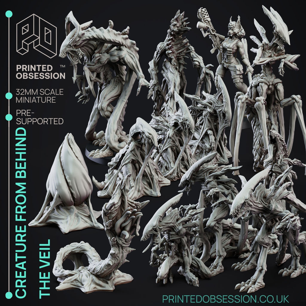 Flesh Creatures From Behind the Veil Miniatures | Fantasy | Printed Obsession