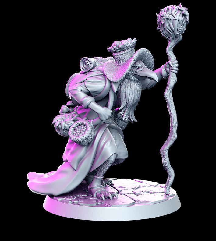 Dhrameek | A Witcher Contract Vol 2 | Fantasy Miniature | RN Estudio