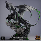 Black Dragon Elder | Premium 12K Resin Dragon for D&D & RPGs