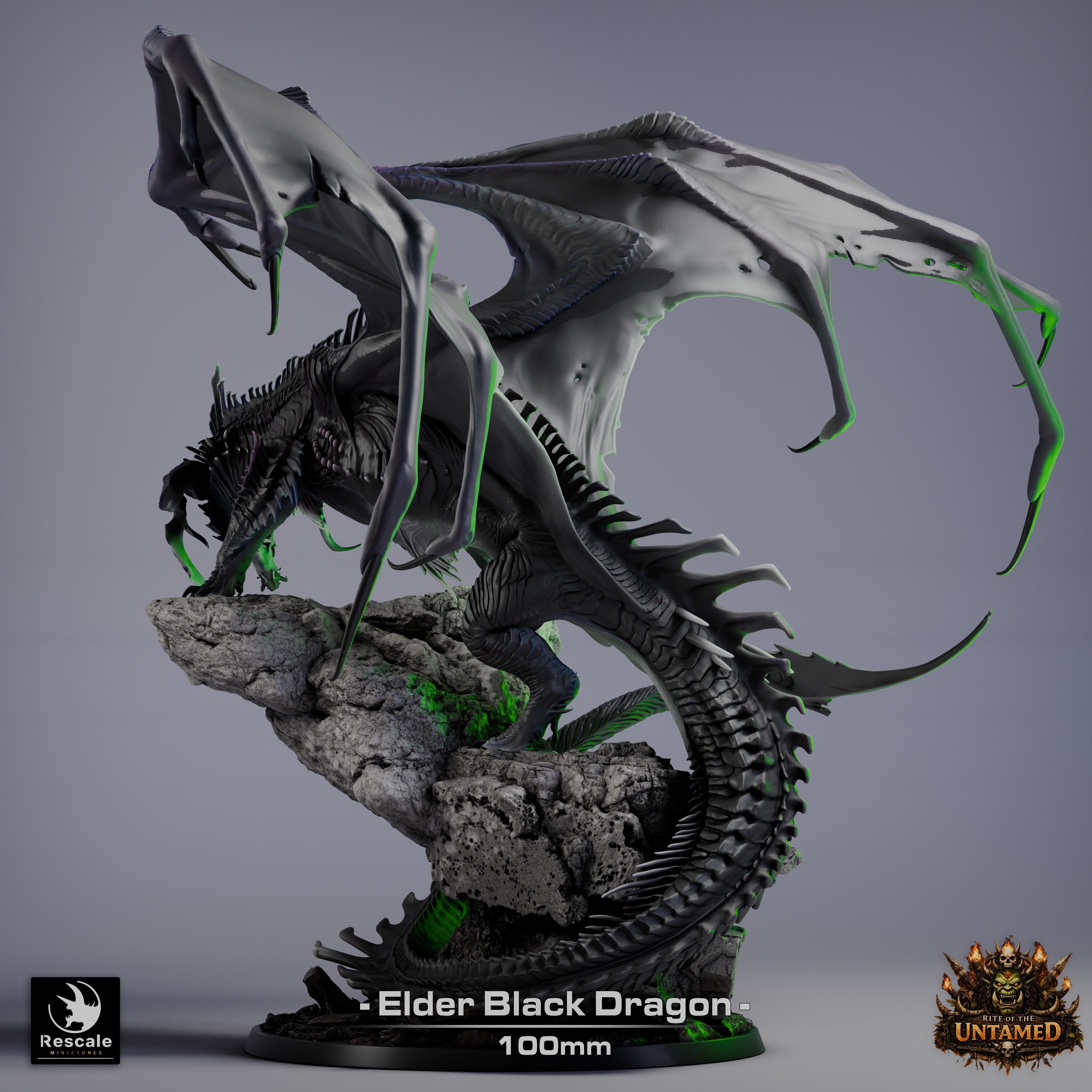 Black Dragon Elder | Premium 12K Resin Dragon for D&D & RPGs
