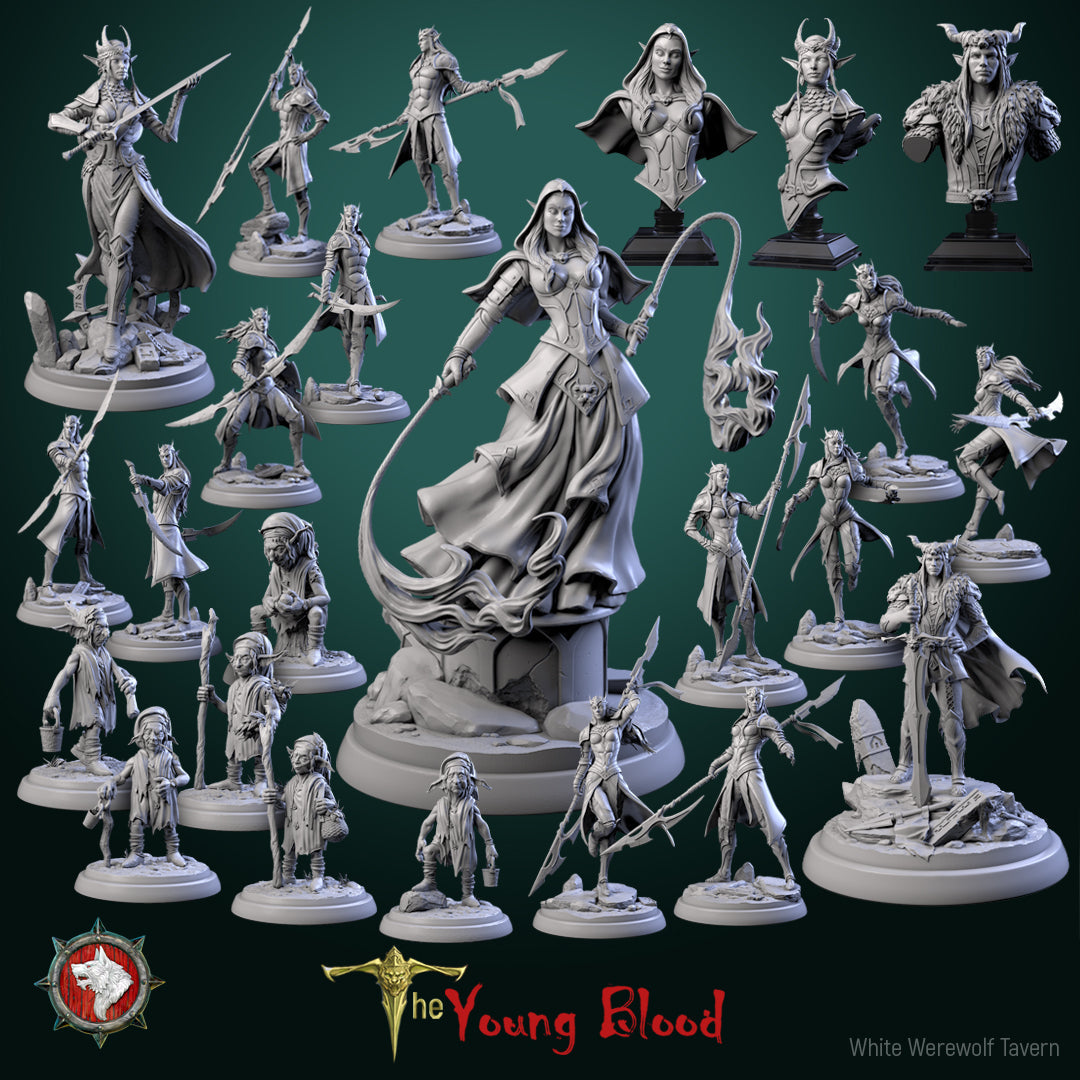 Dungeons and Dragons Models - The Young Blood - Set by White Werewolf Tavern