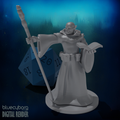 Half Orc Wizard 28mm Scale Miniature