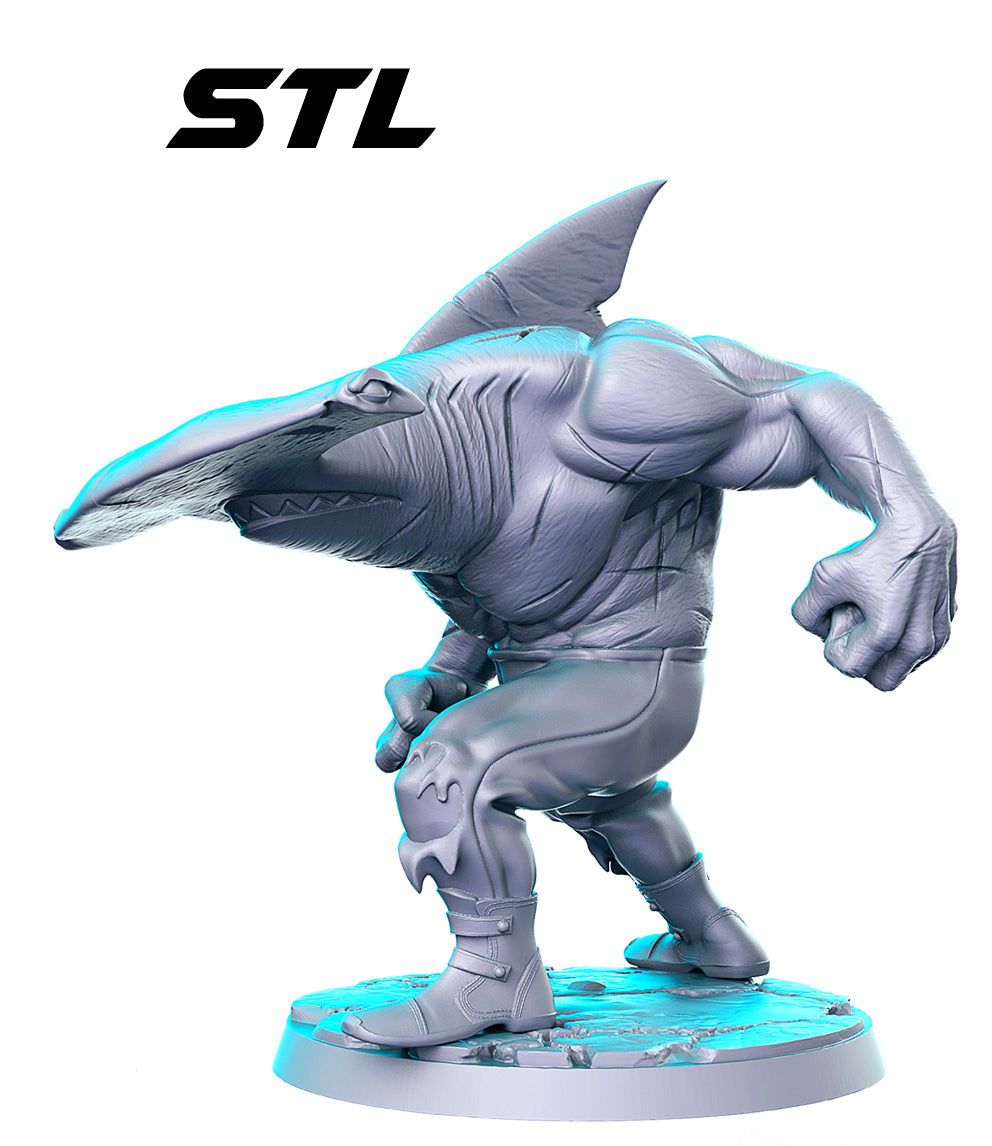 Ham | Multiverse | Fantasy Miniature | RN Estudio