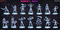 Heroine's Quest Miniatures (Full Set) | Fantasy Miniature | RN Estudio