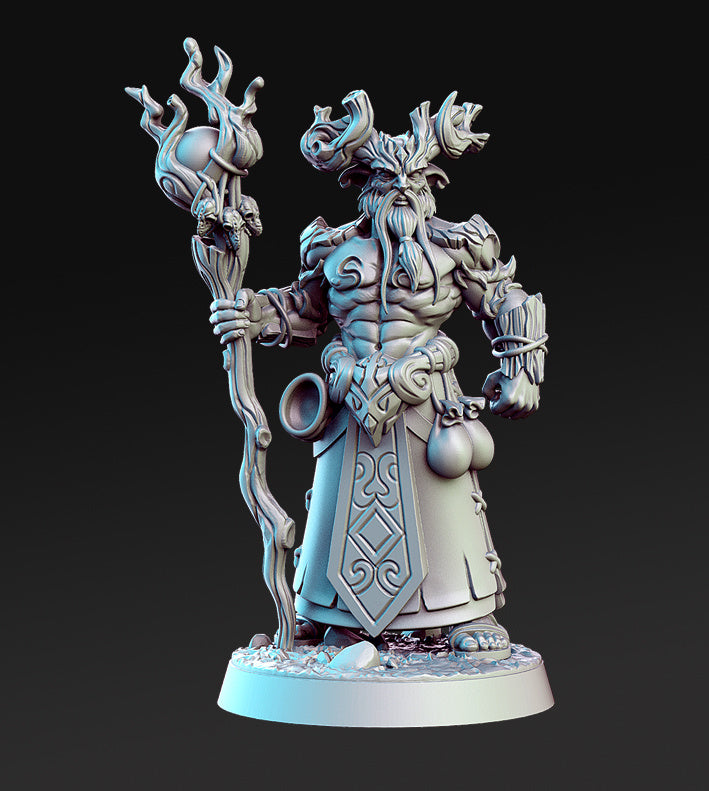 Inside the Magic Forest Miniatures (Full Set) | Fantasy Miniature | RN Estudio