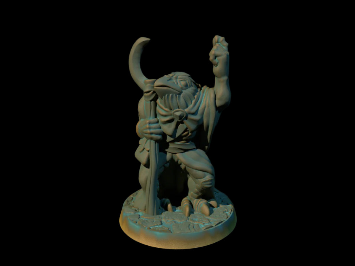 Kenku Druid