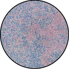 Terrain Pot - Hexoplanet