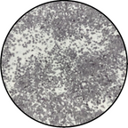 Terrain Pot - Atmosfear