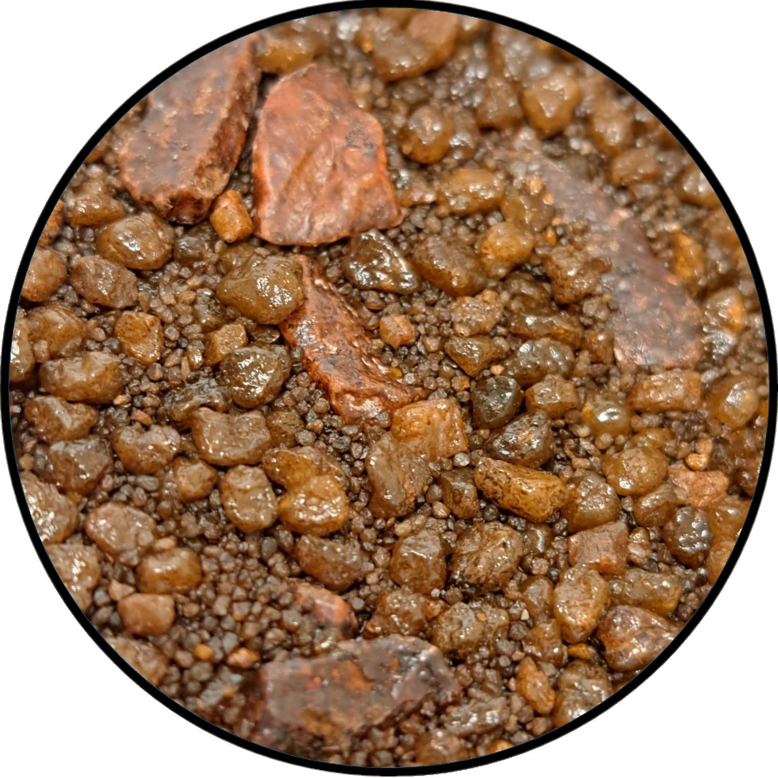 Terrain Pot - Burrowclumps