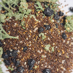 Mixed Terrain Pot - Swamp Thing