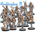 Neokingdom III Miniatures | Fantasy Miniature | RN Estudio