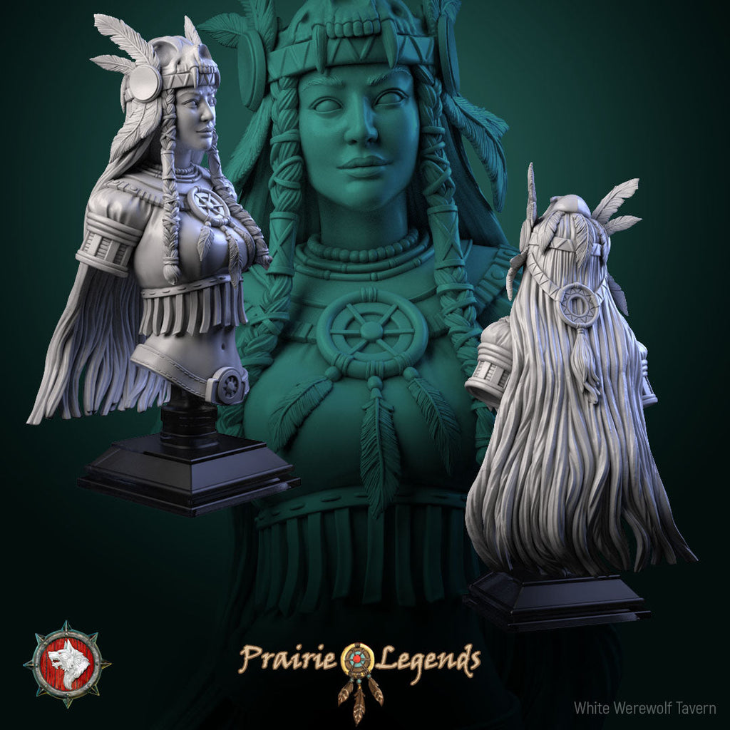 Dungeons and Dragons Models - Prairie Legends - Set by White Werewolf Tavern