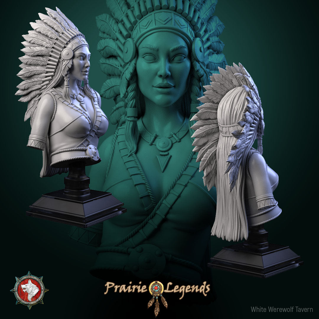 Dungeons and Dragons Models - Prairie Legends - Set by White Werewolf Tavern