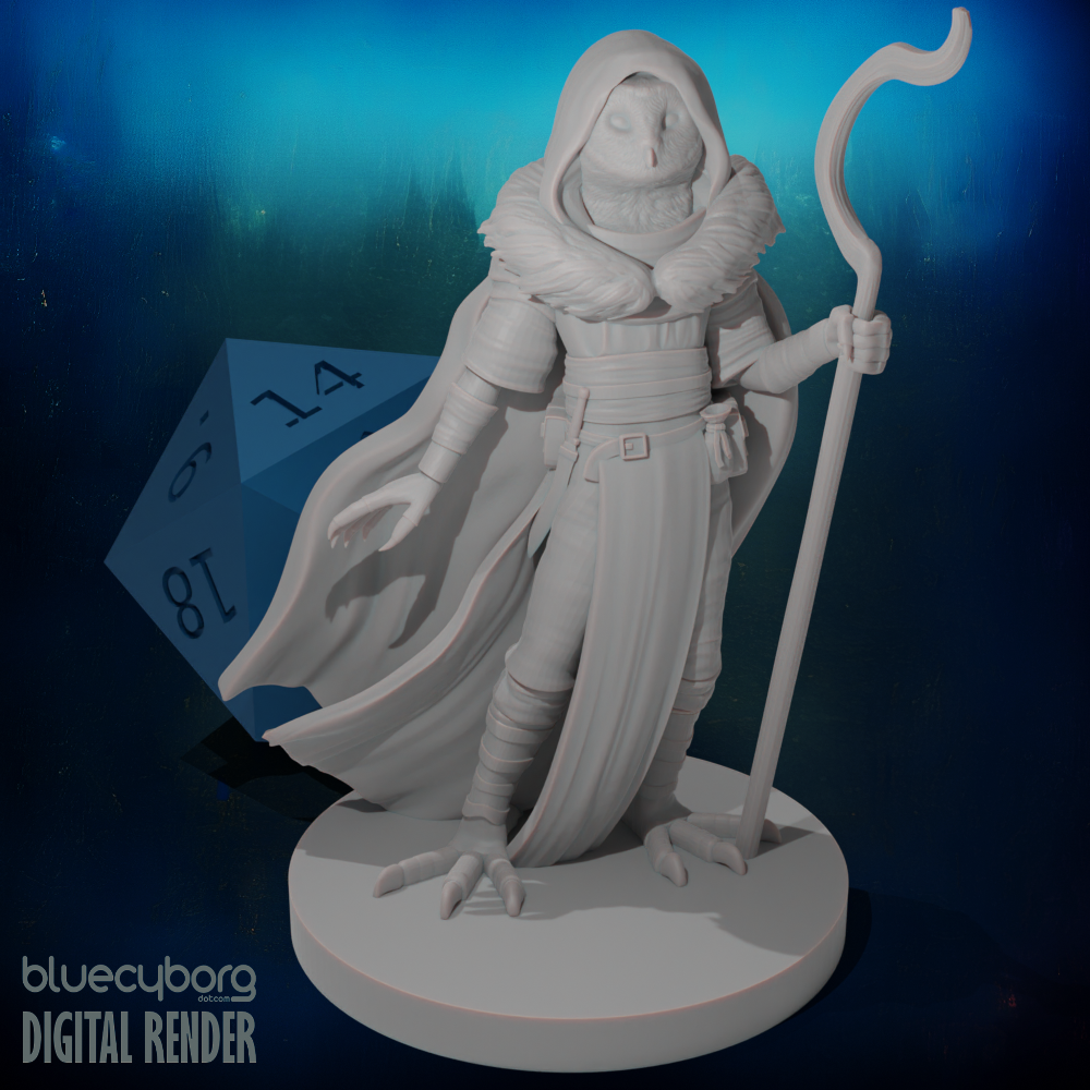 Owlfolk Male Druid 28mm Scale Miniature