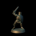 Paladin Crusader 2