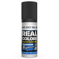 AK Interactive Real Colors - White Grey RAL 9002 17ml. (RC809)