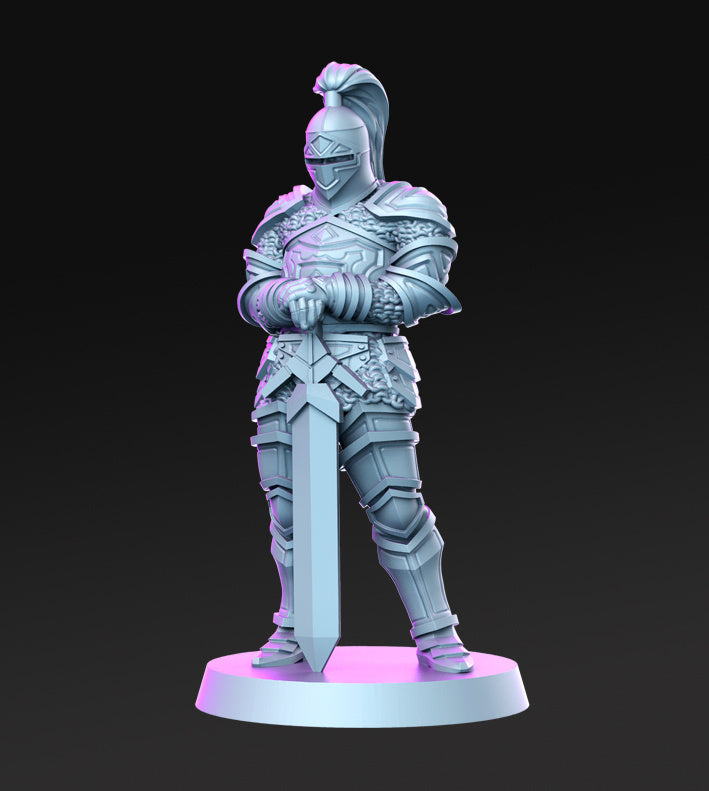 Royal Guard Vol 2 Miniatures (Full Set) | Fantasy Miniature | RN Estudio