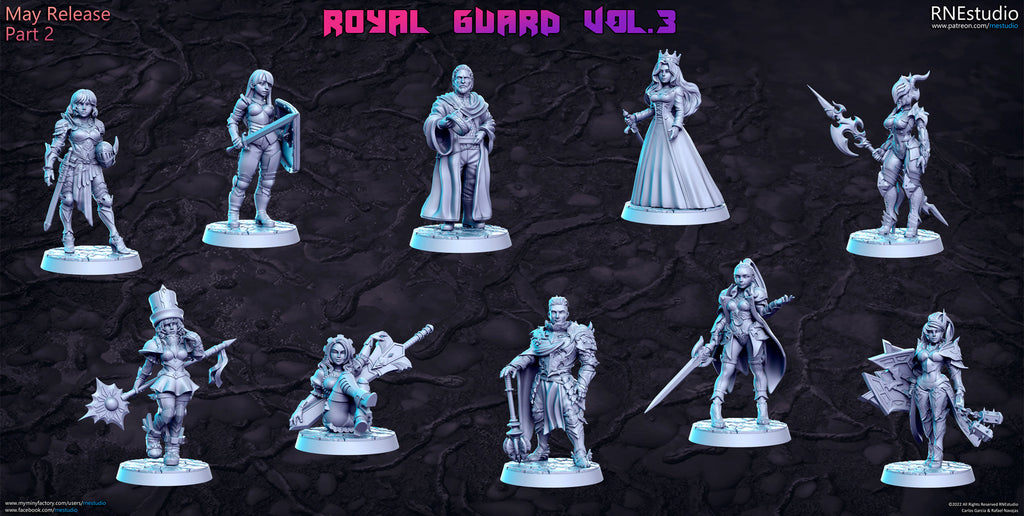Royal Guard Vol 3 Miniatures | Fantasy Miniature | RN Estudio