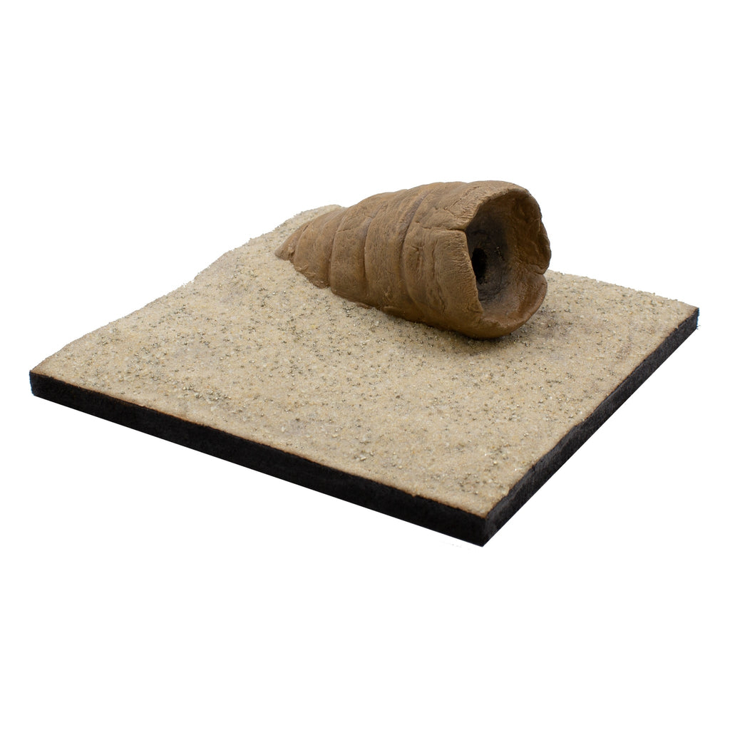 Base Ready Sand-Dune