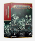 Warhammer Age of Sigmar: NIGHTHAUNT: SPIRIT HOSTS