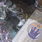 Grasses - Silver Desolation