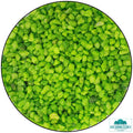 Small Stones - Green