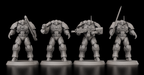 Imperial Space Paladins V.1