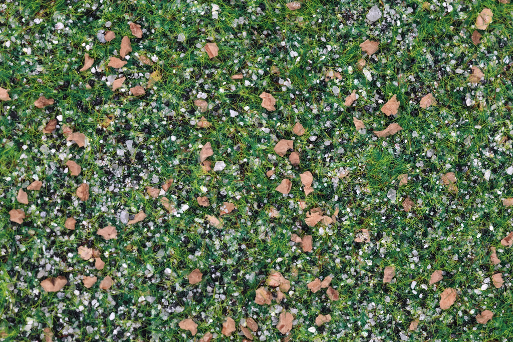 Base Ready Taiga Hillside